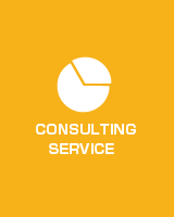 CONSULTING SERVICE